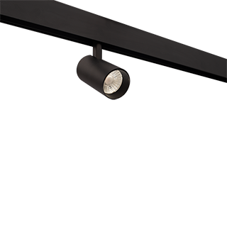 Magnetic light